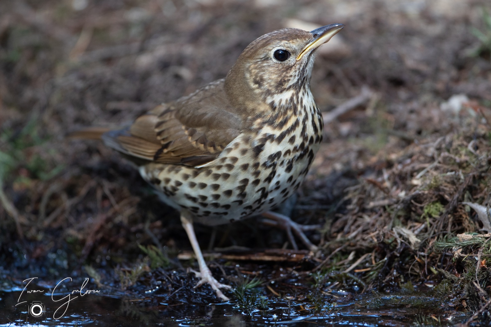 08 mei 2022 161544 1DX42462